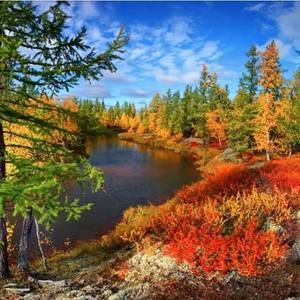 Meet your Posher, Jean